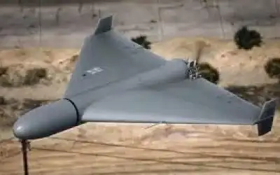 الوحدات يتصل بالبهداري ويغازل نعمان