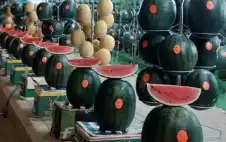 الأمانة تبدأ استقبال طstrongلبstrongات تصاريح بيع