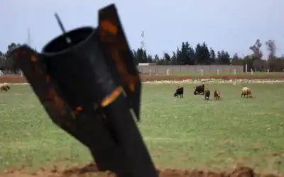 هاجر يا قتيبة ـ بقلم: م.