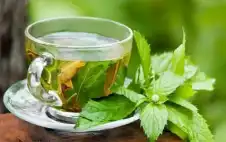 ما الفوائد الصحية لشرب النعناع يوميا؟