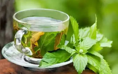 بطل المنتخب الوطني للكيك بوكسينغ علي