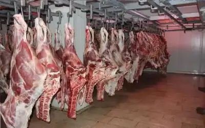مجتمع ـ الأردن يستأنف استيراد اللحوم الطازجة من