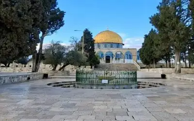 بالفيديو: أحمد عدوية يطرح أغنيته الجديدة