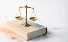 نواب التفstrongعيstrongلة.. حين يدفع الجمهور ثمن