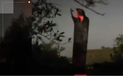 فيديو.. أوشام تتحول إلى أجسام ثلاثية