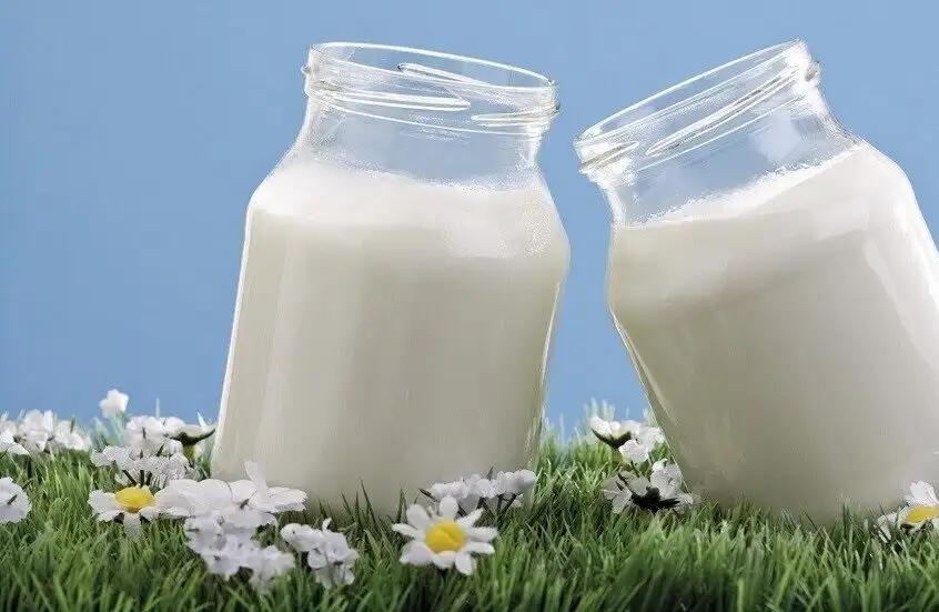 الزبادي المخمر.. فوائد أكبر لصحة العظام