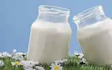 الزبادي المخمر.. فوائد أكبر لstrongصحةstrong العظام