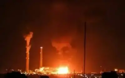 نفاع يدعو المرأة إلى إستثمار فرصة