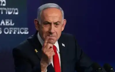 نفاع يدعو المرأة إلى إستثمار فرصة