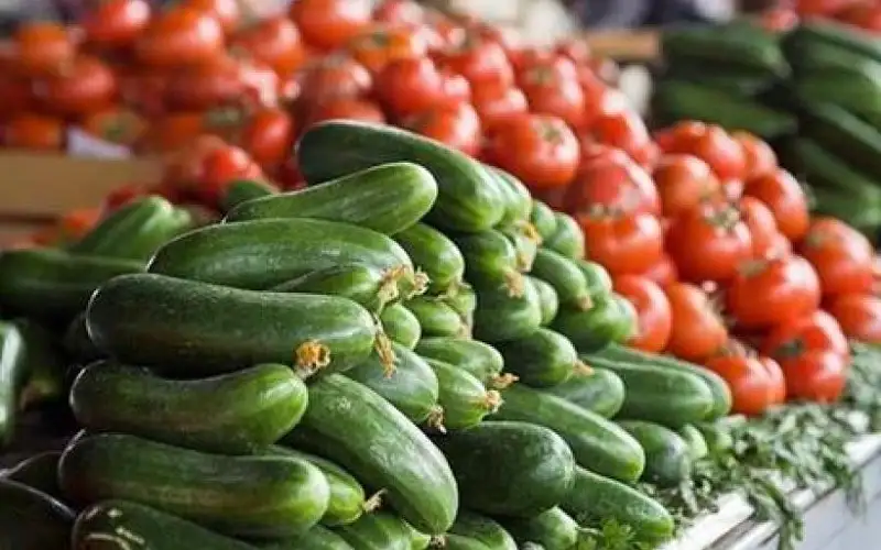 وزارة الزراعة تعلق تصدير البندورة والخيار