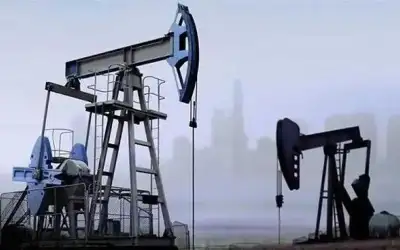 الأردن يحتاج مخالب وأنياب.. ـ بقلم: