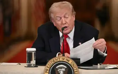 الحكومة المقبلة واستراتيجية التشغيل ـ بقلم: