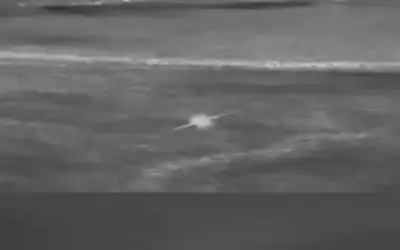 الدكتوراه التقديرية لمدير عام الجمارك