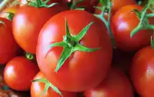 الحكومة الاردنية : الخضار والفواكه متوافرة