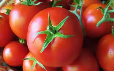 إيران: المفاوضات مع الولايات المتحدة لم