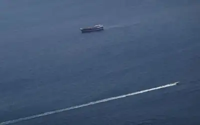 فوائد تناول خليط الثوم والليمون صباحا