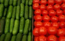 خريسات: الخضار والفواكه متوافرة ومشكلة اstrongلبstrongندورة