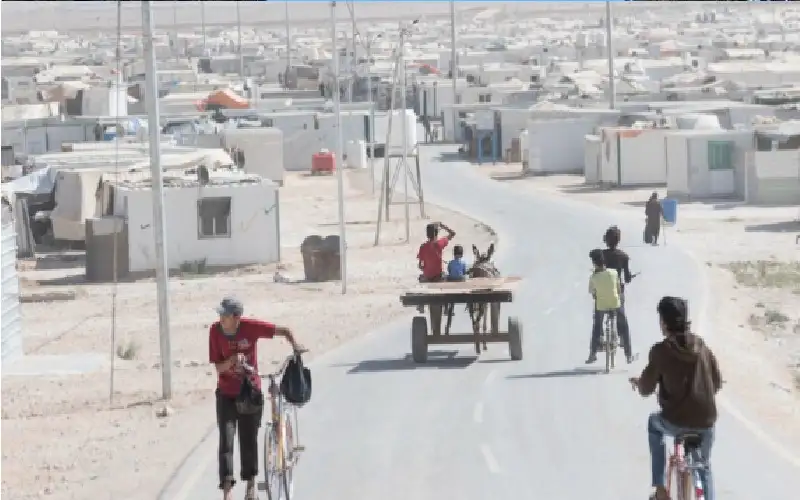 بيانات: انخفاض أعداد اللاجئين وطالبي اللجوء