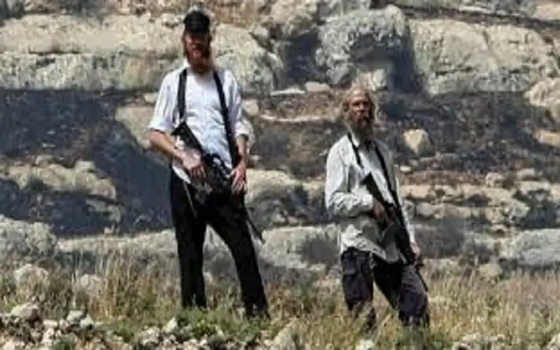 صحيفة نيسان ـ جزارون في كيان الدم .. .