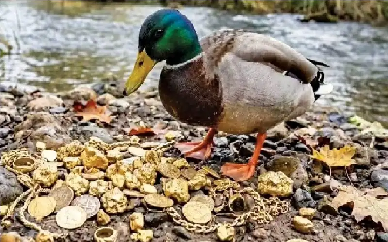 المناخ يؤثر بصحة العقل