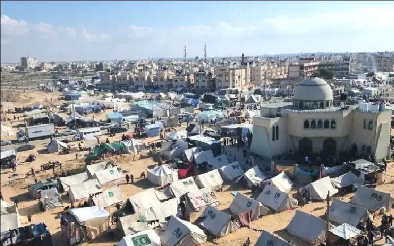 بين لسعات الليل ومرارة النزوح.. البراغيث