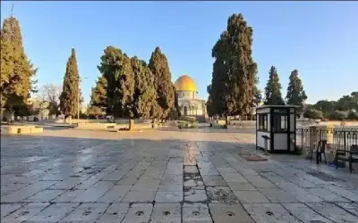 ناشطون على مواقع التواصل الاجتماعي يدعون