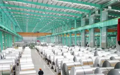 الصف الخامس ب ـ بقلم: د.