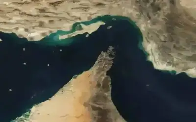 فاكهة تحسن صحة الأمعاء.. تعرفوا عليها