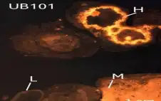 سر مدفون في وادي strongالأردنstrong