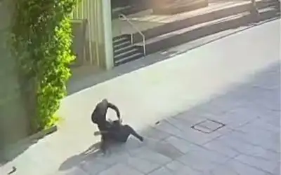 الرئيس النسور يحتفل بزواج منتصر في