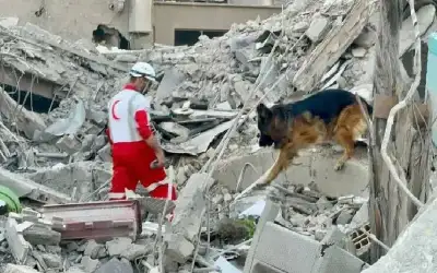 بغدانوف هبط في دمشق .. كيف