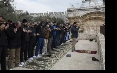 الخشبي أم البلاستيكي.. أيهما أفضل لتقطيع