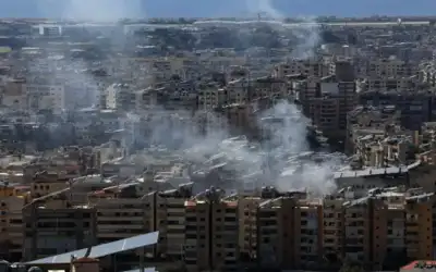 أطعمة تعزز قوة وصحة الكبد