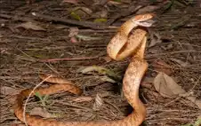 مشهد مرعب وتفسير علمي مدهش.. هكذا