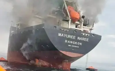 أمريكي يعثر على 22 كيلو كوكايين