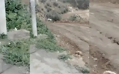 ماذا يحدث لجسمك إذا تناولت الرمان