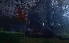 الأمن يتعامل مع سقوط شظايا جسم