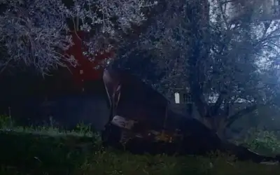 مفكرة اليوم