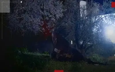 لاعبان عربيان ضمن أفضل 60 موهبة