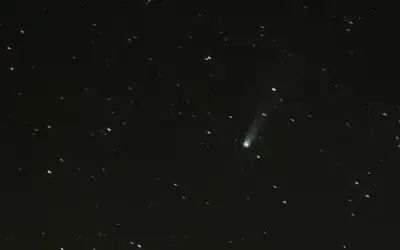 الملكة: اغتالوا الآمنين الخاشعين في صلاتهم