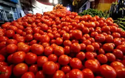 رئيس الوزراء السوري يدعو لإجراء انتخابات