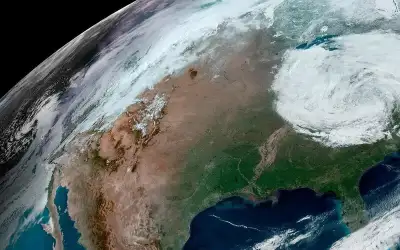 الكوسا كنز ثمين لايمكنك الاستغناء عنه