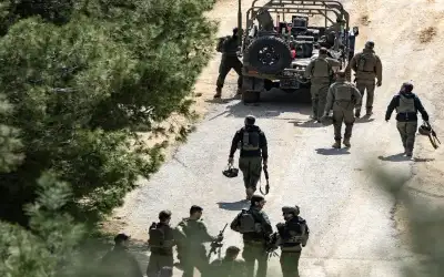 صحون وكاسات وصواني ـ بقلم: كامل