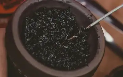 الساعة البيولوجية الأردنية ـ بقلم: كامل