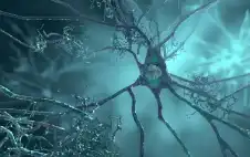 اكتشاف جديد يفتح اstrongلبstrongاب أمام علاج