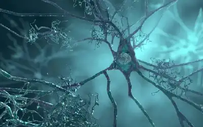 فلسطين: الأحد المقبل بداية دوام الفصل