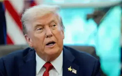 الفيتو (43) ـ بقلم: محمد المحيسن