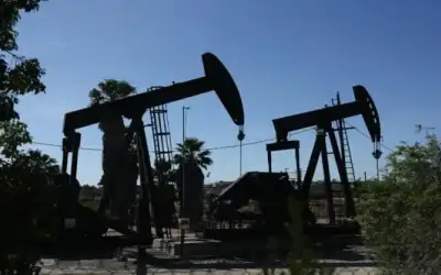 مشروبات مقوية للكبد.. منها الشاي الأخضر