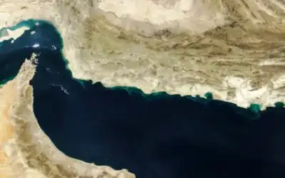 اختلال الثقافة ومفهوم المواطنة ـ بقلم: