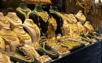 نفوق 300 قطاس من الجوع في